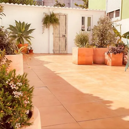 Cozy With Private Courtyard Apartment
