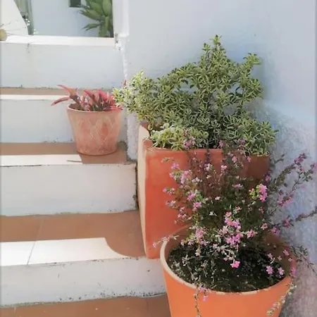 Cozy With Private Courtyard Apartamento