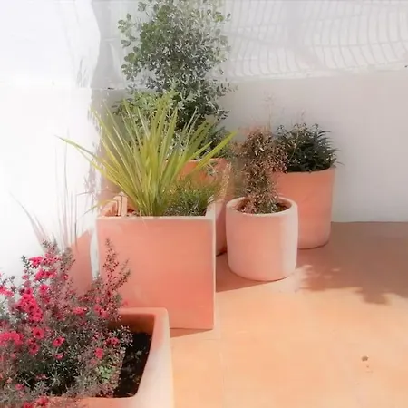 Cozy With Private Courtyard Lägenhet