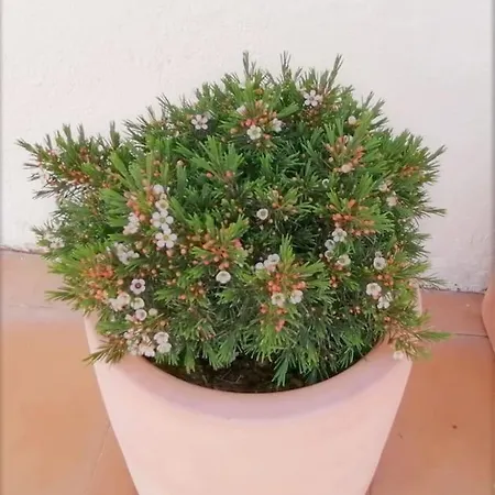 Apartamento Cozy With Private Courtyard